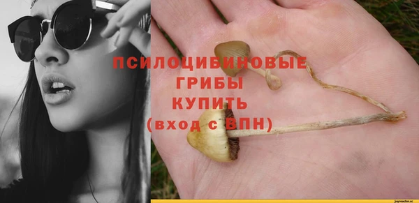 прущий лед Аркадак
