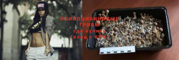 дмт Арсеньев