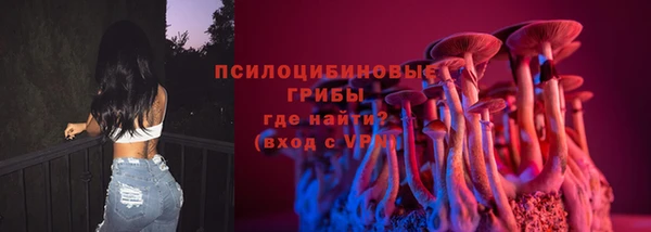 дмт Арсеньев
