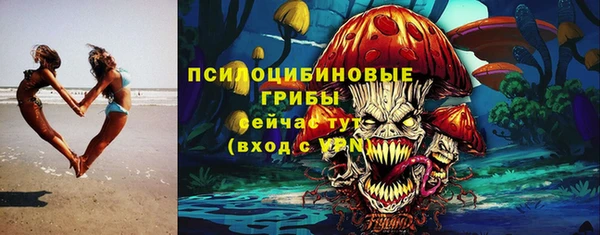 дмт Арсеньев