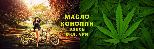 дмт Арсеньев