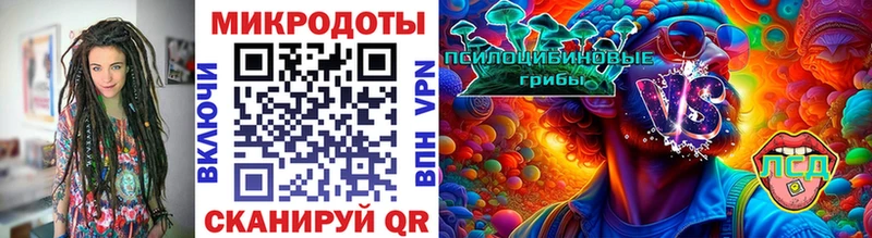 Псилоцибиновые грибы Cubensis  гидра tor  Рудня 